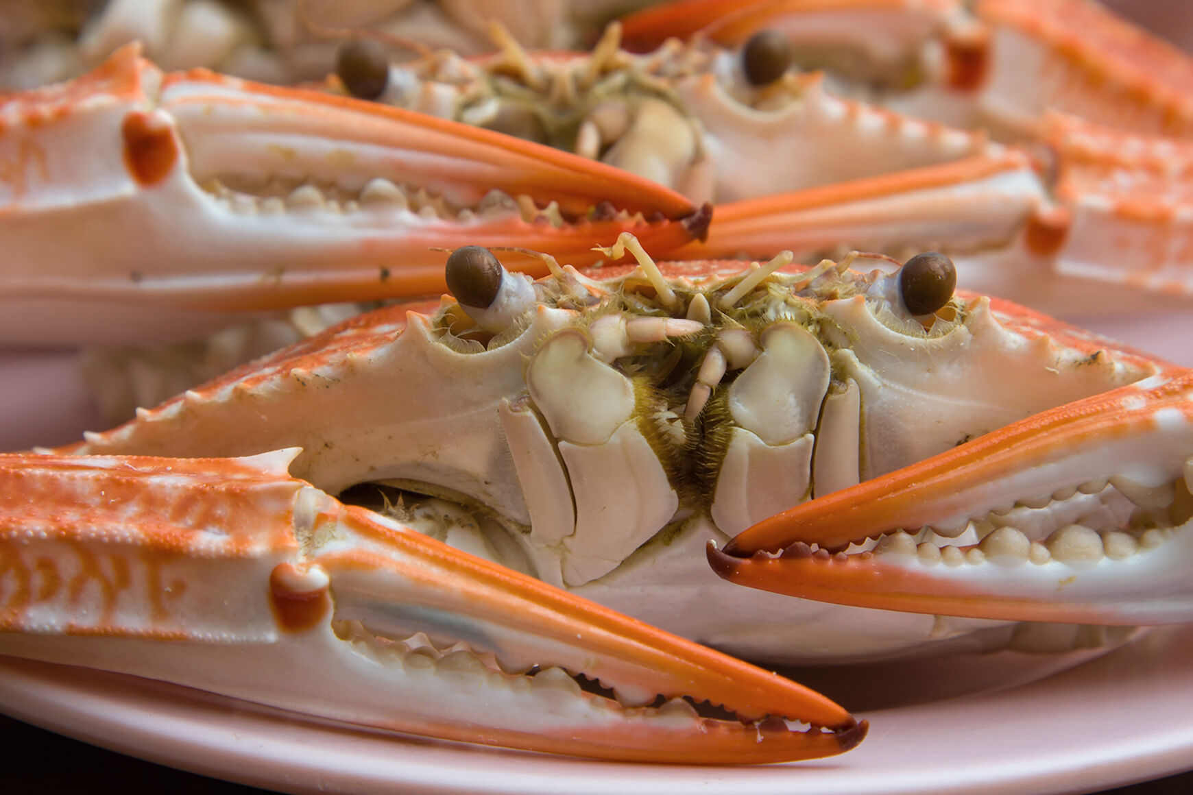 Cooked crab